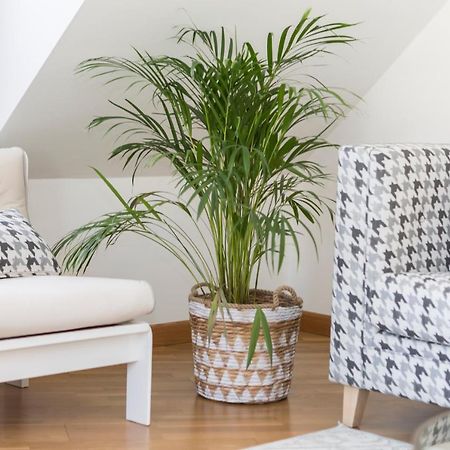 וילאנואבה דה ארוסה Apartamento Boutique Con Terraza Y Vistas Al Mar. Porto Vilanova מראה חיצוני תמונה