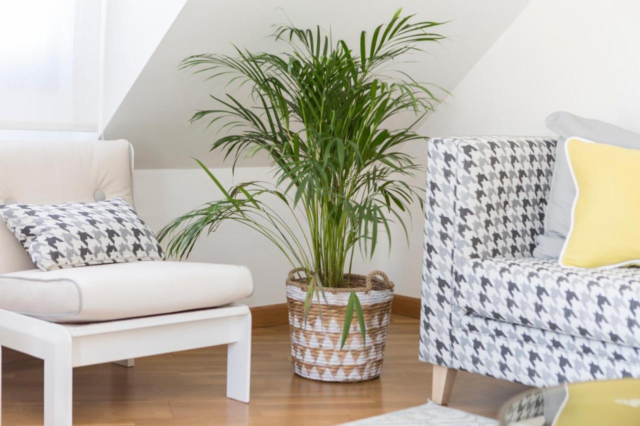 וילאנואבה דה ארוסה Apartamento Boutique Con Terraza Y Vistas Al Mar. Porto Vilanova מראה חיצוני תמונה